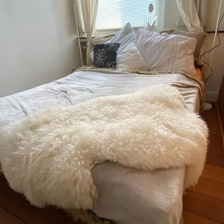 Alte Schule 3, Urlaub Wo Einst Dorfschule War Διαμέρισμα Kall